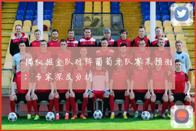 揭秘掘金队对阵葡萄牙队赛果预测：专家深度分析